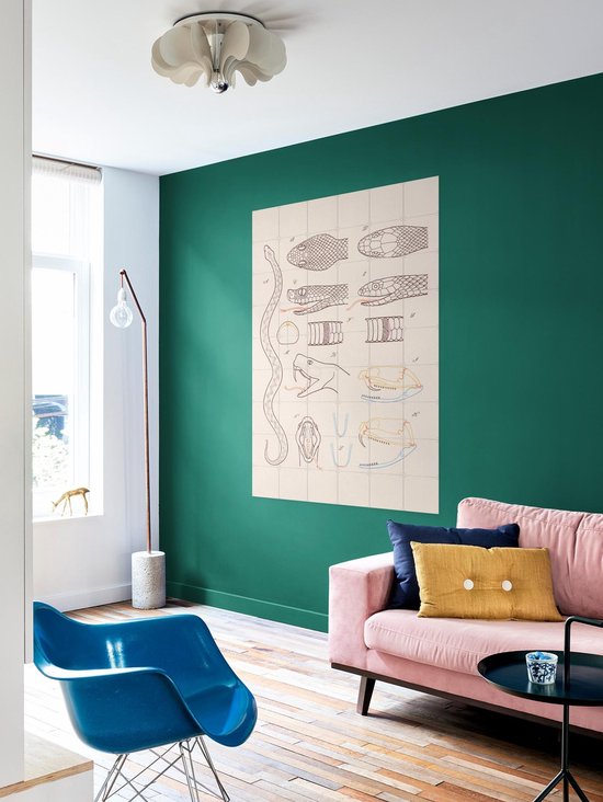 IXXI Serpent - Anatomie, Aster Edition - 100 x 140 cm - Gratis ophangtool - Grote wanddecoratie en posters - Technische Tekening, Illustraties, Line