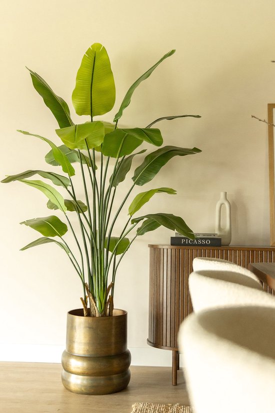 Strelitzia Kunstplant - 180 cm