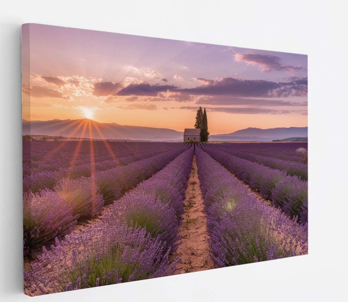 Saammp Canvas Schilderij - Groot lavendelveld met huis - Bloemen - Landschap - Natuur - 100x75 - Foto op canvas - Wanddecoratie - Muurdecoratie Woonkamer - Slaapkamer decoratie - Canvas Print Multicolor