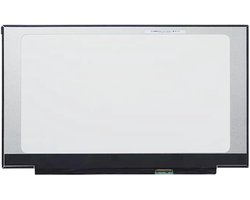 Laptop Scherm geschikt voor Acer Predator Helios 300 PH317-55-762T