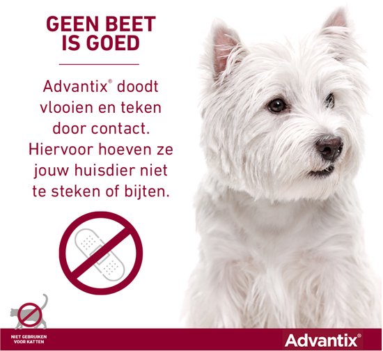 West Highland White Terriër met tekst "Geen beet is goed". Verband met kruis erdoor.