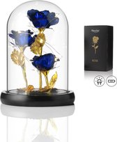 Luxe Roos in Glas met LED – 3x Gouden Roos in Brede Glazen Stolp – Moederdag - Cadeau voor vriendin moeder haar - Blauw 3x Roos Brede Stolp – Qwality