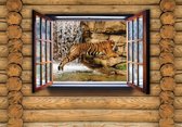 Fotobehang - Vlies Behang - Tijger door het Raam 3D - 312 x 219 cm