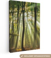 Toile toile - Photo sur toile - Soleil - Arbres - Forêt - Nature - Vert - Décoration murale - Photo toile - 80x120 cm - Peinture sur toile