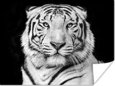 Poster Tijger - Zwart - Wit - Portret - Dieren - 120x90 cm