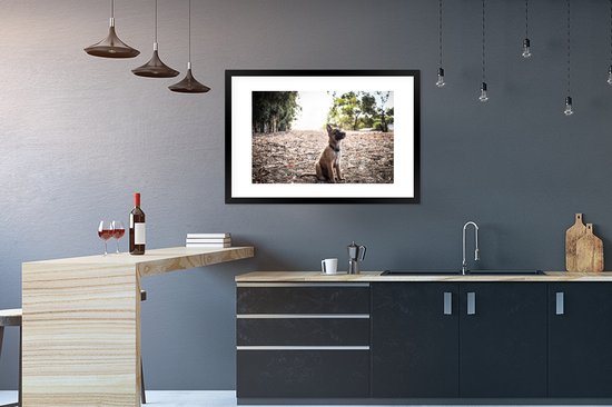 Fotolijst incl. Poster - Mechelse herder pup die omhoog kijkt - 90x60 cm - Posterlijst