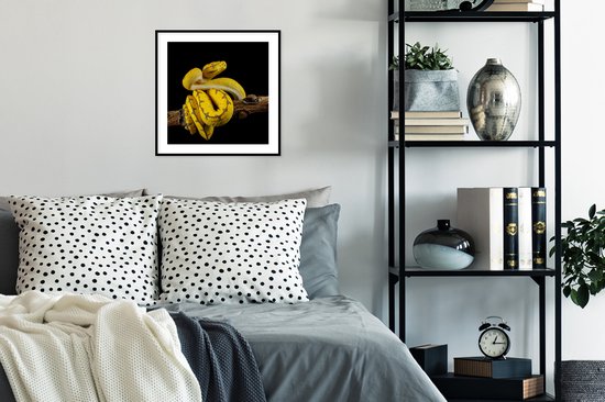 Photo encadrée - Python arbre jaune devant fond noir Cadre photo noir avec passe-partout blanc 40x40 40x40 cm - Affiche encadrée (Décoration murale salon / chambre)