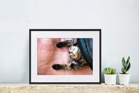 Chat qui dort sur un tapis 30x20 cm - petit