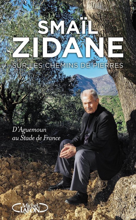 Sur les chemins de pierres - cover