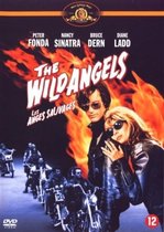 Wild Angels