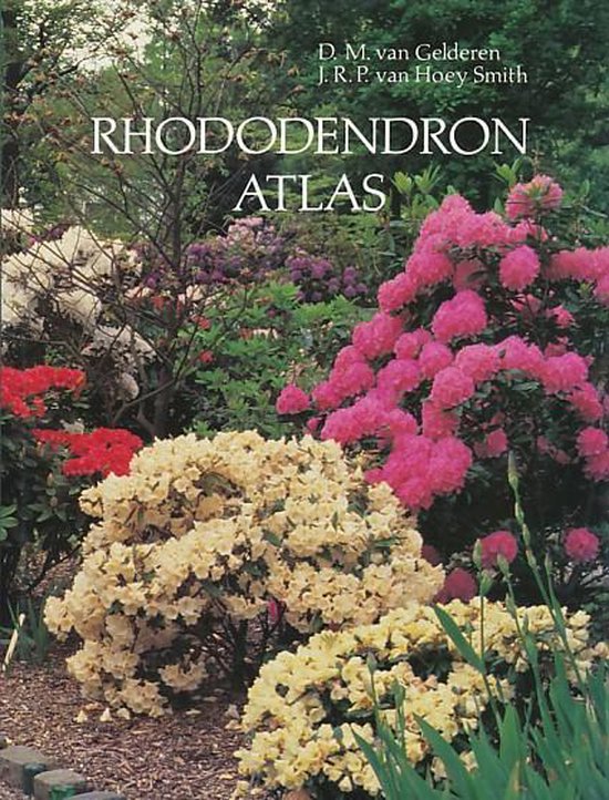 Rhododendron atlas