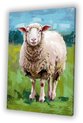 Schaap, Digital Art, Wit, groen, blauw, bruin, roze