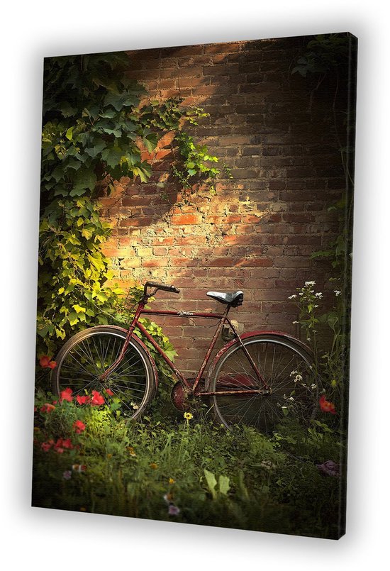 Koersplaat Cycling Poster - Mont Ventoux - Fietsen in de Alpen