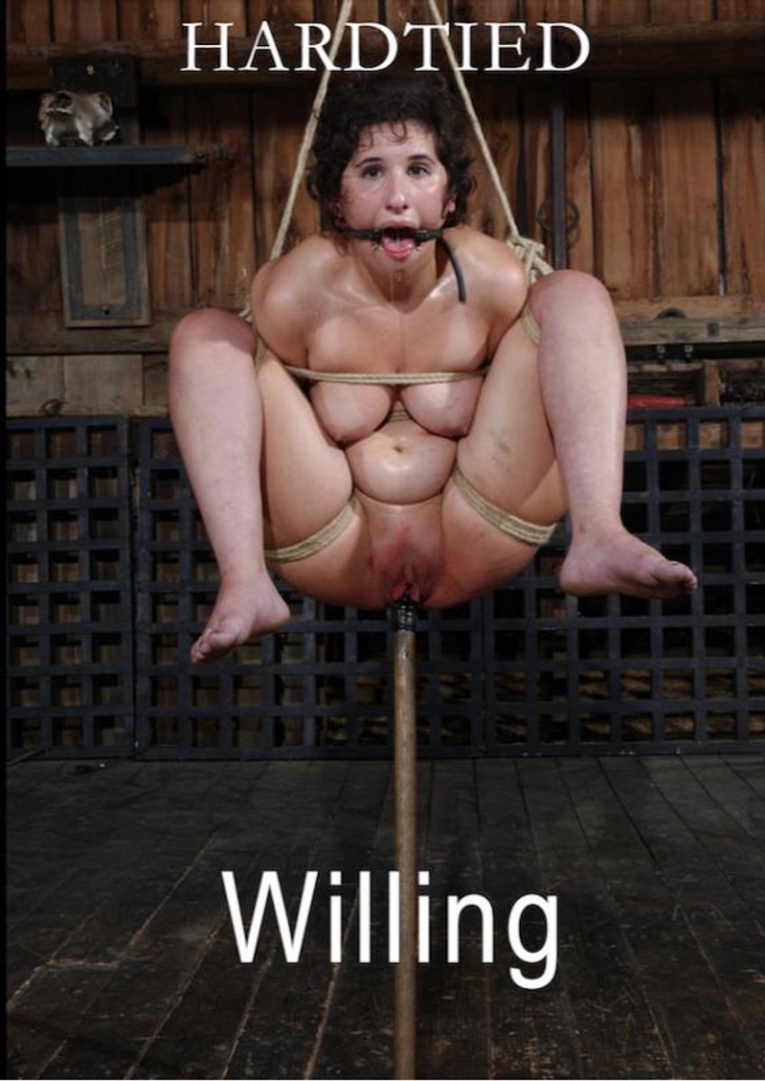 Hardtied - Willing - 211910