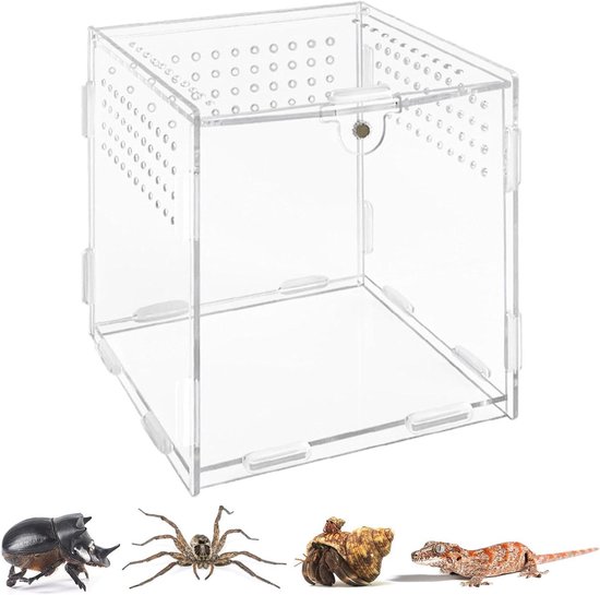 Reptiel voederbox acryl reptielenkweekbox mini terrarium transportbox