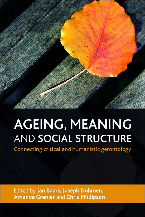 Ageing Meaning & Social Structure - cover