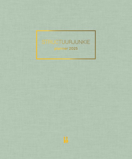 Lichtgroene kaft van de Structuurjunkie planner 2025 met gouden tekst.