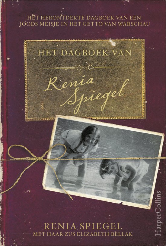 Het dagboek van Renia Spiegel - cover