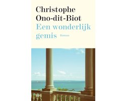 Omslag van Een wonderlijk gemis