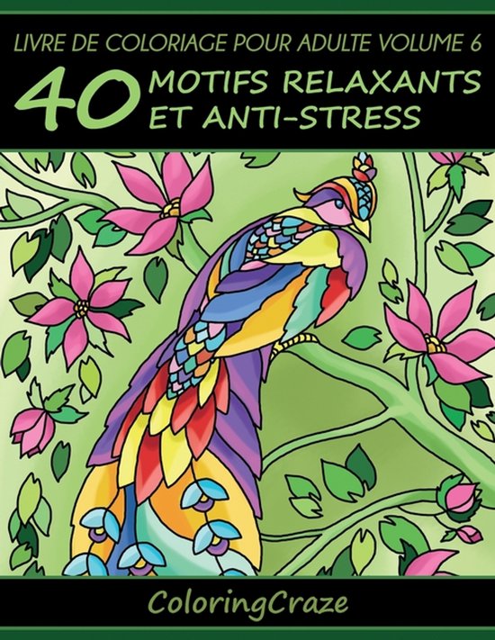 Série Thérapie Artistique Anti Stress- Livre de coloriage pour adulte Volume 6