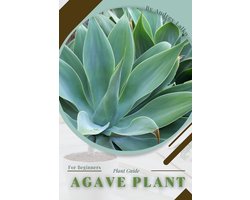 Agave Plant