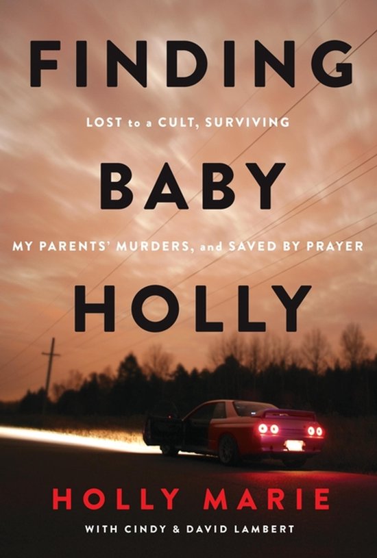 Finding Baby Holly - cover