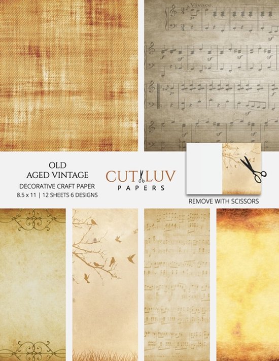 Old Aged Vintage Decorative Craft Paper - cover