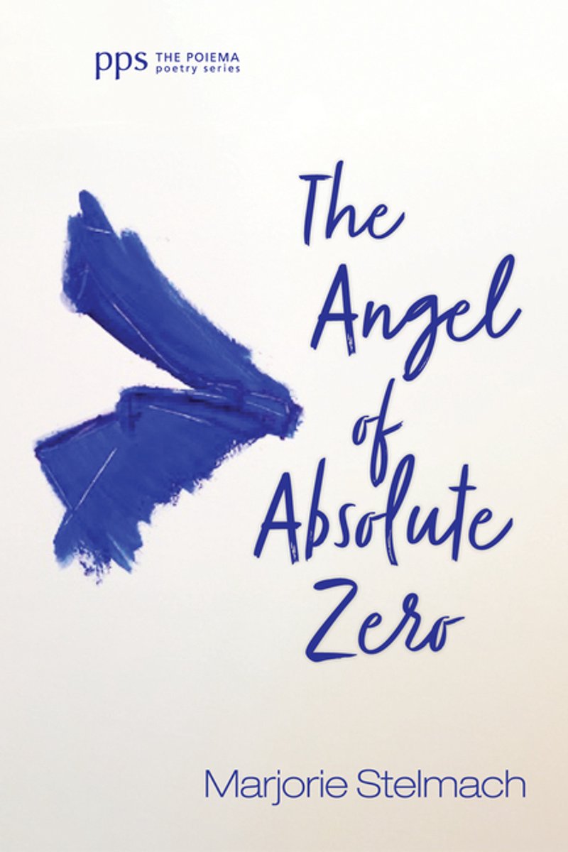The Angel Of Absolute Zero van Marjorie Stelmach