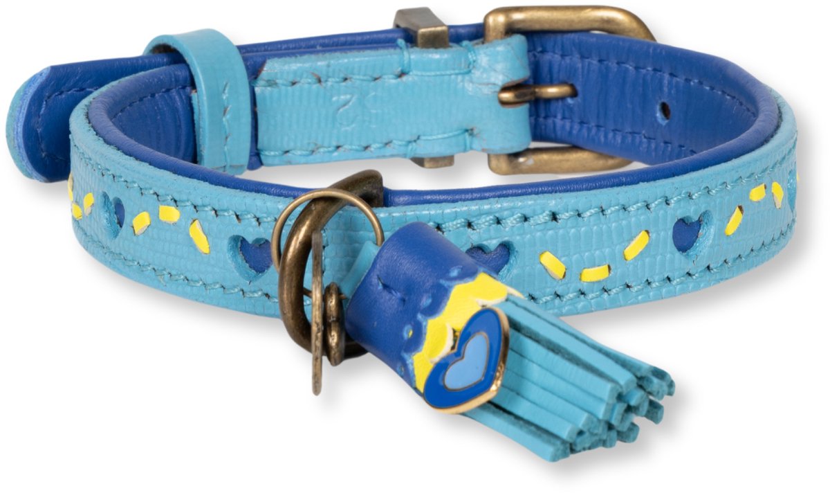 Sky Hondenhalsband L (Halsomvang 40-47 cm / 2,5 cm)
