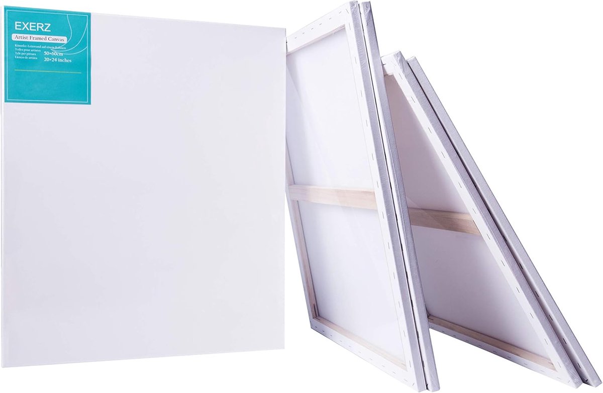 Voorgespannen schildersdoeken 50x60 cm - 4 stuks - 1,7 cm dik - 100% katoen - zuurvrij - middelkorrelig