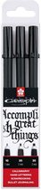 Sakura Pigma Calligrapher set, 3-delig 1, 2 en 3mm