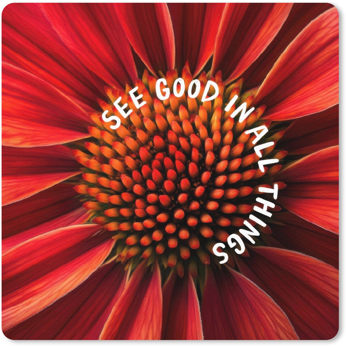 Muismat XXL 80x80 cm - Bureau onderlegger - Bureau mat Close up - Bloem - Quote - Rood - Bureaumat - Gaming mousepad xl - Bureaulegger groot - Computer deskmat