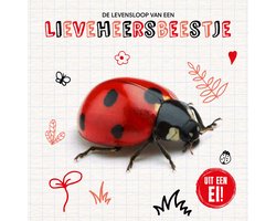 Uit een ei! - De levensloop van een lieveheersbeestje