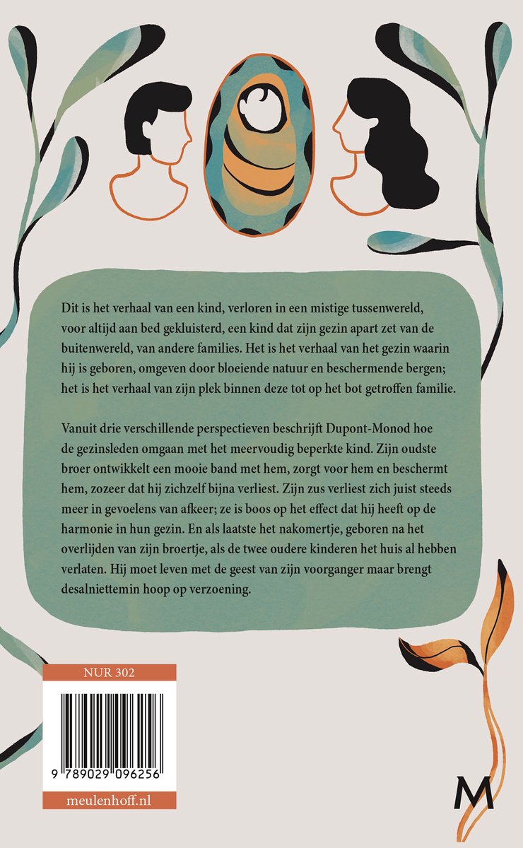 Wat de stenen ons vertellen - back cover