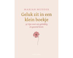 Omslag van Geluk zit in een klein boekje
