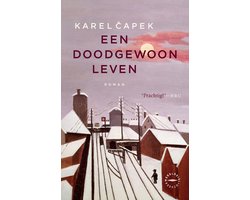 Omslag van Een doodgewoon leven