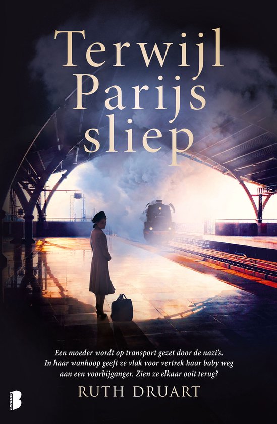Terwijl Parijs sliep - cover