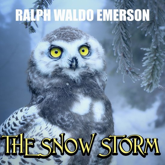 The Snow Storm - cover