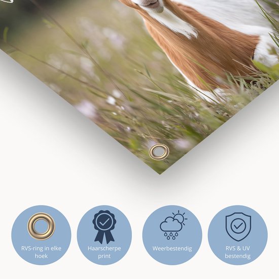 Geit in bloemenveld met tekst - Geit poster - Tuinwanddecoratie dier - Digital Art - Tuinaccesoires voor aan de muur - Waterafstotende wanddecoratie - tuinposter 75x50 cm