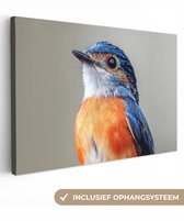 Tableau sur toile 120x80 cm - Décoration murale Colorée - Oiseau - Ressorts - Blauw - Décoration murale salon - Décoration chambre - Accessoires chambre - Peintures sur toile