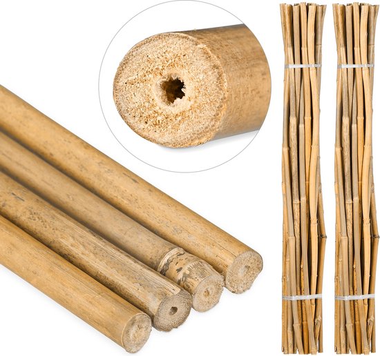 Schrikken spannend Stiptheid Relaxdays 50x Bamboe stok - set - tonkin stokken - plantensteun tuin - 120  cm - natuur | bol.com