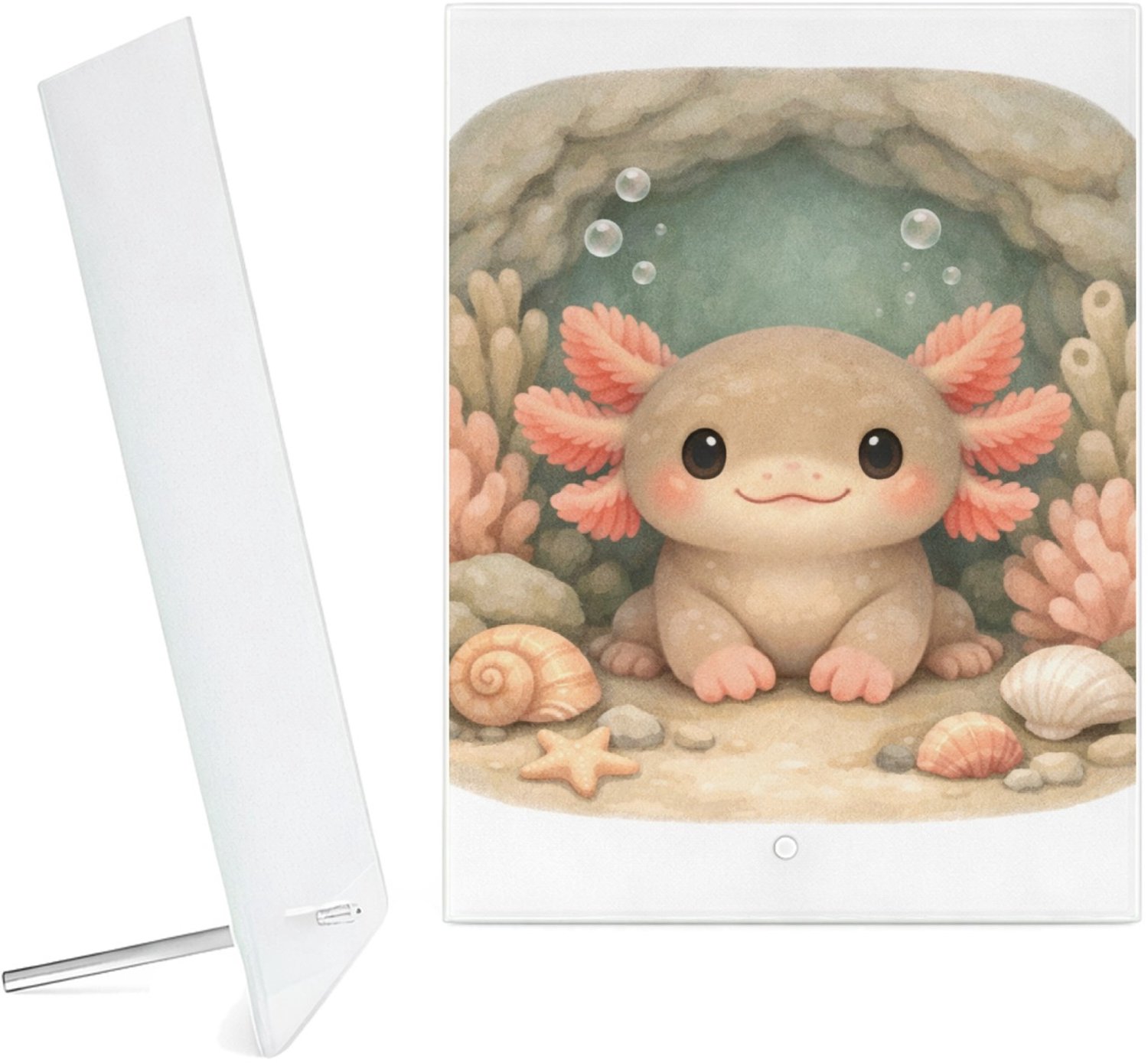 Mr Cadeautjes Glazen fotopaneel Een frontaal afgebeeld onderwaterdiertje in een zachte koraa - 15 x 20 cm, staand - glas, decoratie, wanddecoratie | cadeau Wit