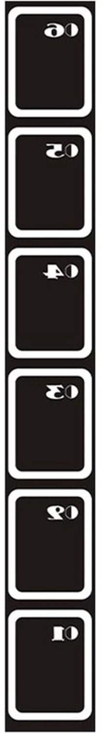 Agility Ladder - Speed Trainer - Sporttraining Buiten - Antislip Ondergrond - 250 x 34 cm - Zwart