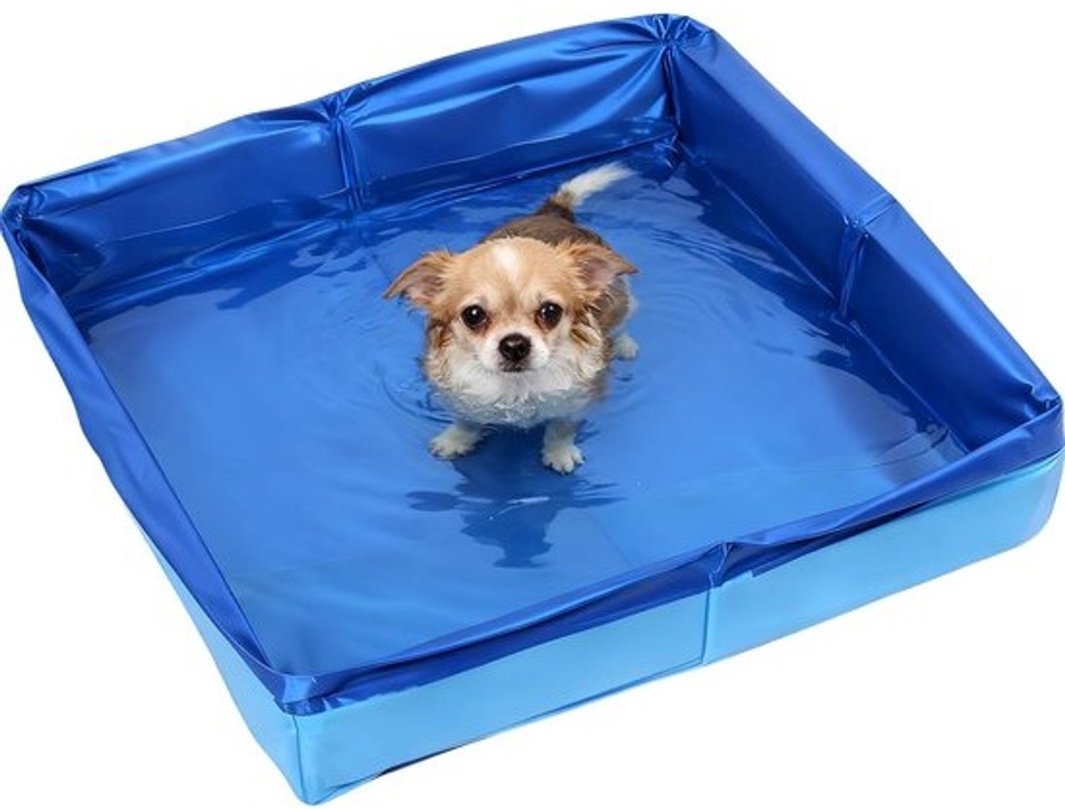 Hondenzwembad Vierkant – Opvouwbaar badje – Afkoeling voor huisdieren – Duurzaam PVC-materiaal – 50 x 50 x 10 cm – Blauw