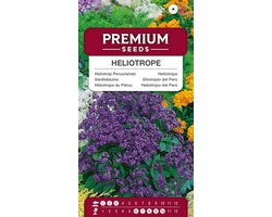 heliotrope peruwiaanski 0.01 g - zaden - geurige bloei - ideaal voor tuinieren - Vemera