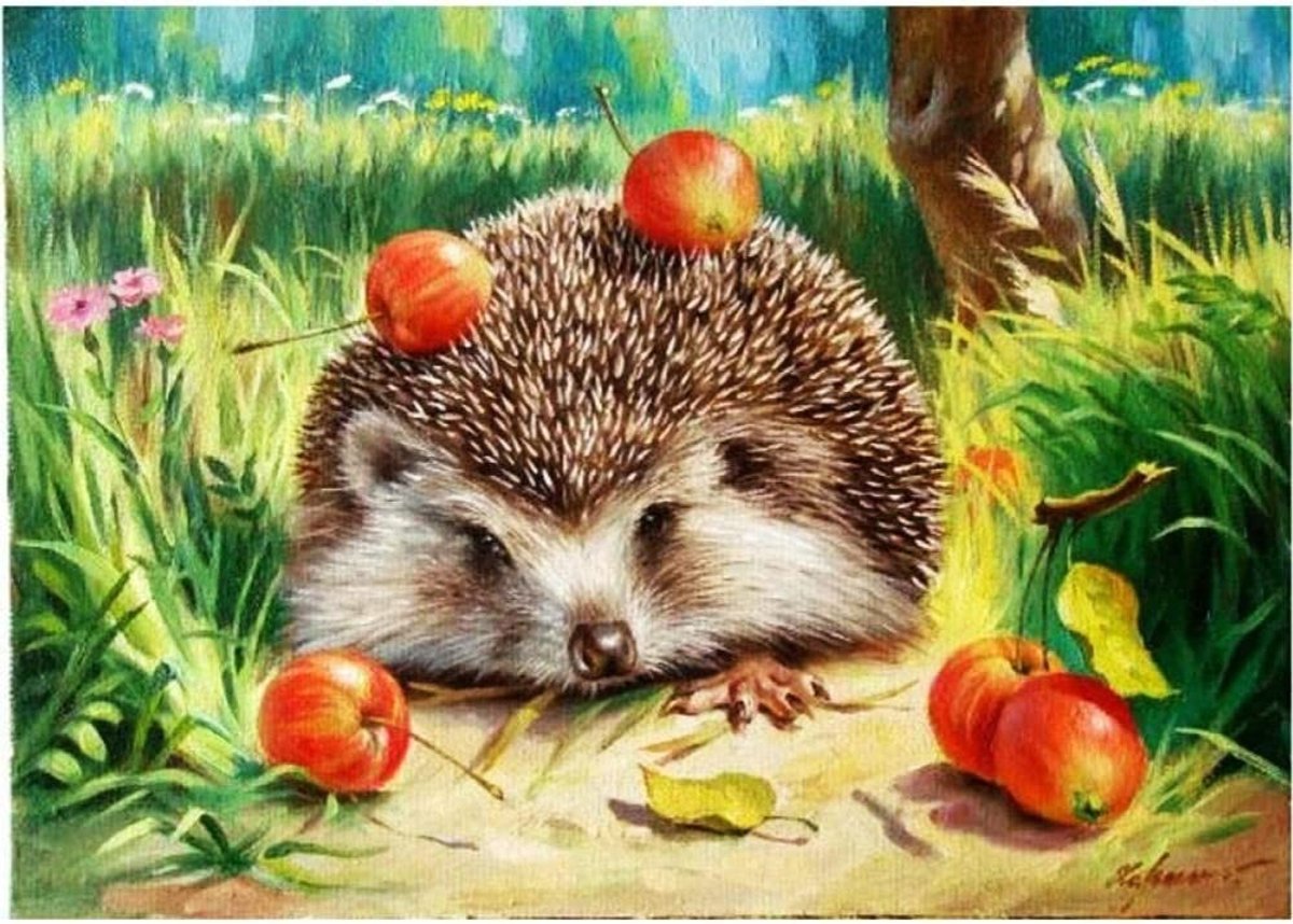 Elzusha - Schilderen op Nummeren met Egel Motief 40 x 50 cm