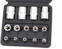 Gedetailleerde close-up van een 14-delige inwendige torx doppenset in een zwarte houder, met maten gegraveerd.