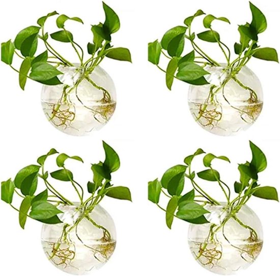 Glazen Wandvaas voor Planten Binnen - Wanddecoratie met Bloemen en Terrariums - Set van 4 Waterdichte Vazen voor de Woonkamer