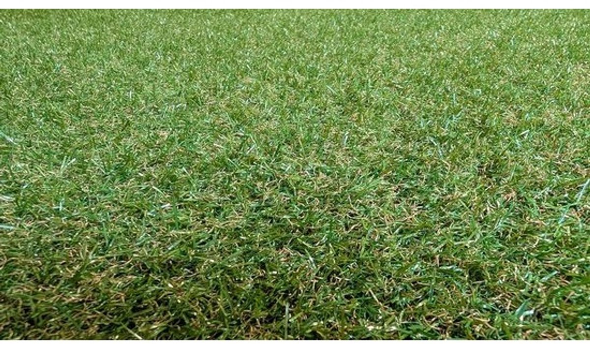 Kunstgras - grastapijt - Tapijt op meter - Balkon - terras - Waterdoorlatend - 20mm - 300x400 cm - Groen