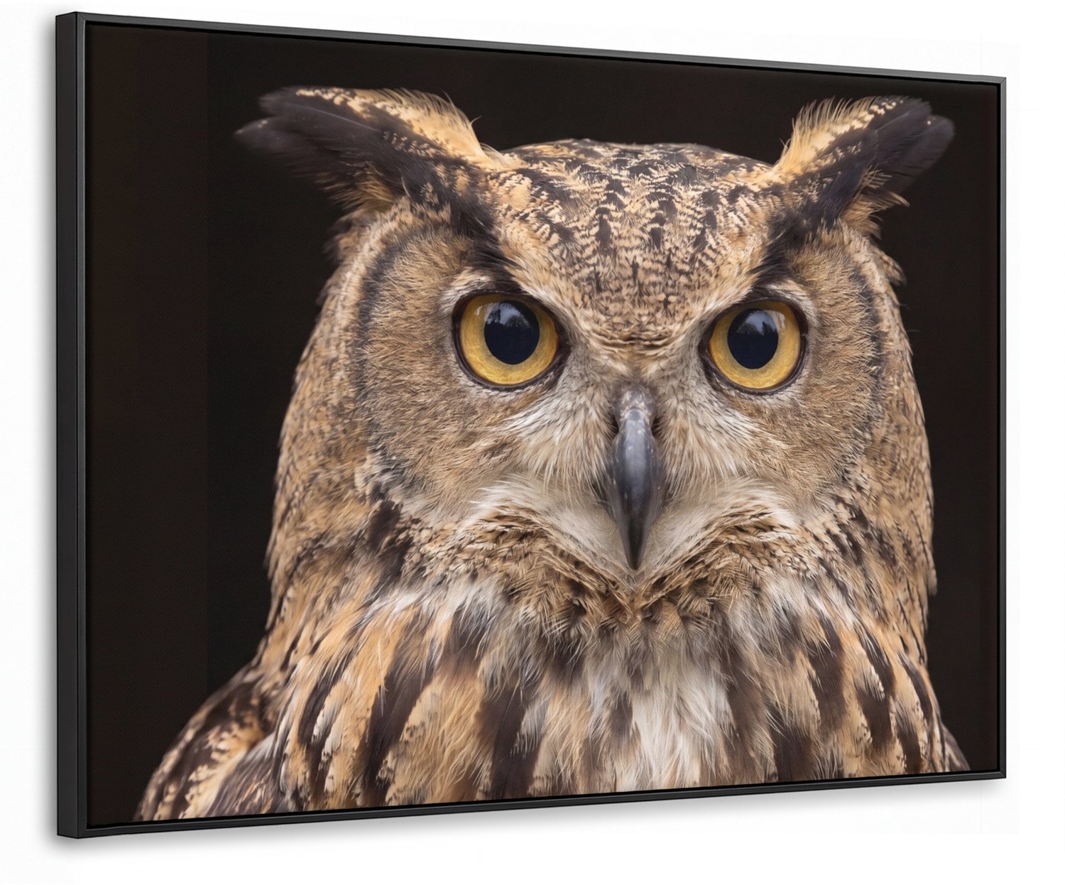Canvas Schilderij met Baklijst 80x60cm - Oehoe - Uil - Portret - Bruin - Muurdecoratie woonkamer - Slaapkamer decoratie - Kamer accessoires - Schilderijen op canvas met lijst